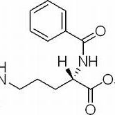 2645-08-1/Na-苯甲酰-L-精氨酸乙酯盐酸盐,BR，98%
