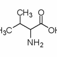 516-06-3/	 DL-缬氨酸,	BR，99%