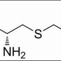 638-23-3/ S-羧甲基-L-半胱氨酸, BR,99%