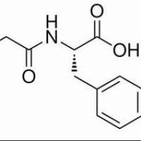 658-79-7/	 L-甘-酪二肽,	BR，99%