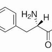 1080-06-4/L-酪氨酸甲酯 ,	特纯，98.5%