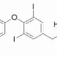 51-48-9/	 L-甲状腺素 ,	BR，98%