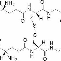 27025-41-8/ L-氧化型谷胱甘肽 ,化学对照品(10 mg)