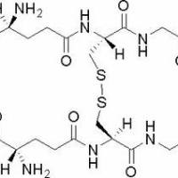 27025-41-8/	 L-氧化型谷胱甘肽 ,	化学对照品(10 mg)