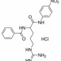 911-77-3/	 Na-苯甲酰-DL-精氨酸-对硝基酰胺盐酸盐,	≥98%（HPLC）