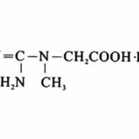 6020-87-7/	 一水肌酸,	BR，99%