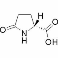 4042-36-8/	 D-焦谷氨酸 ,	BR，99%