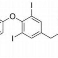 25416-65-3/ L-甲状腺素钠 ,BR,97%