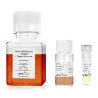 PBMC 50M System Complete Kit