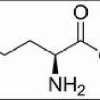 36589-29-4. L-精氨酸乙酯二酸盐 , BR,98.5%