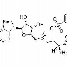 17176-17-9/	 S-腺甘基蛋氨酸,	BR，80%