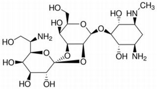 31282-04-9/ 潮霉素B , 超纯,80%