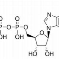 58-64-0/	 二磷酸腺苷,	98%