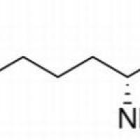 923-27-3/	 D-赖氨酸 ,	BR，96%
