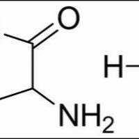6038-19-3/DL-高半胱氨酸硫酸内酯盐酸盐,	BR，98%