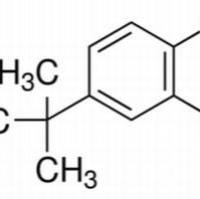 98-29-3/	 4-叔丁基二酚,AR,98%