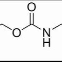 1138-80-3/	 CBZ-甘氨酸,	特纯，99%