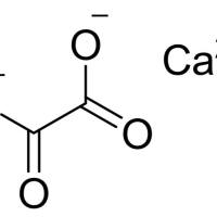 563-72-4/ 草酸钙,99%