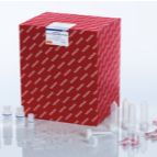 签约代理商 qiagen 凯杰 77144 exoRNeasy Midi Kit (50) 外泌体提取试剂盒