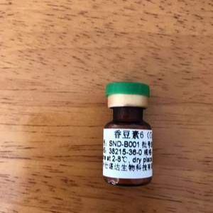 乙醇脱氢酶