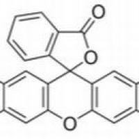 2044-85-1/	 2',7'-二氯荧光素二乙酸酯,	≥98%（HPLC）