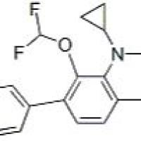 194804-75-6/加雷沙星 ,	98%