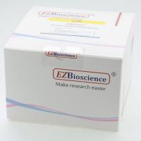 病毒RNA提取试剂盒