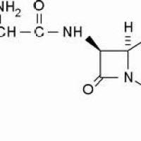 38821-53-3/	 头孢拉定 ,	93%（HPLC）