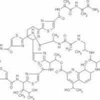 1393-48-2/	 硫链丝菌素 ,98%