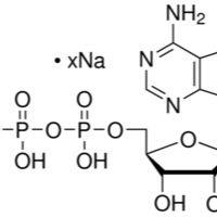20398-34-9/	 腺苷-5′-二磷酸钠盐 ,	≥95%（HPLC）