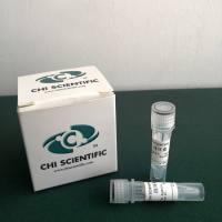 四环素（Ames 试验） 毒理实验 AMES细菌回复突变试验 CA染色体畸变试验 基因突变试验