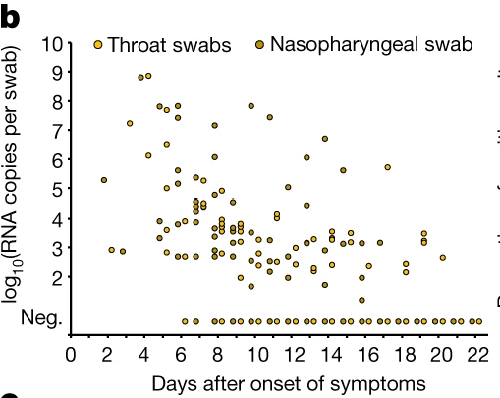 热点关注 | 为什么新冠病毒核酸检测限定5-7日有效?