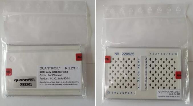 德国进口Quantifoil金网多孔碳膜，大量现货啦！