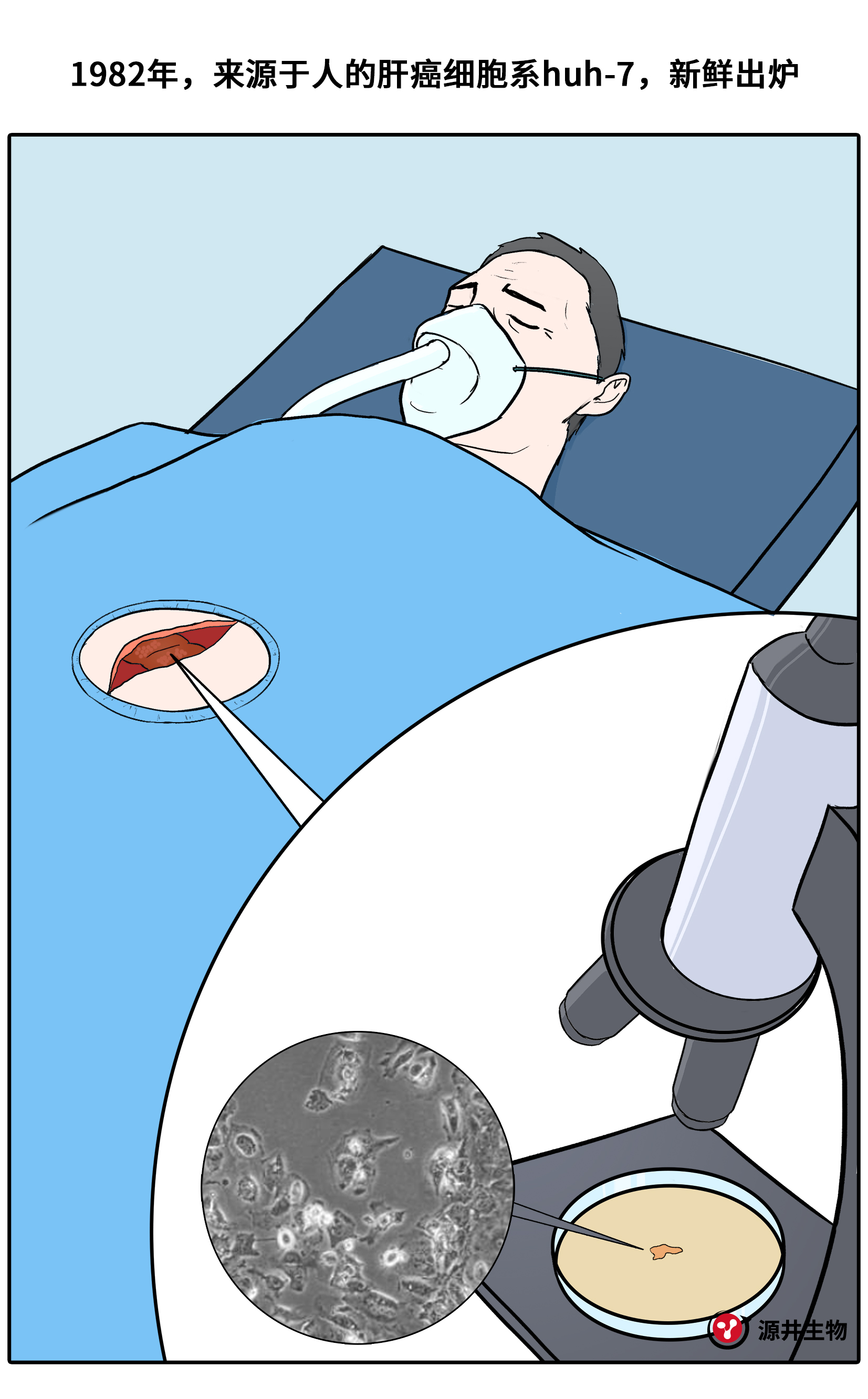 【漫画科普】Huh-7细胞的科研之旅-源井生物