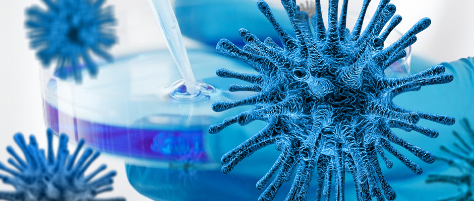 新冠中和抗体与疫苗研发