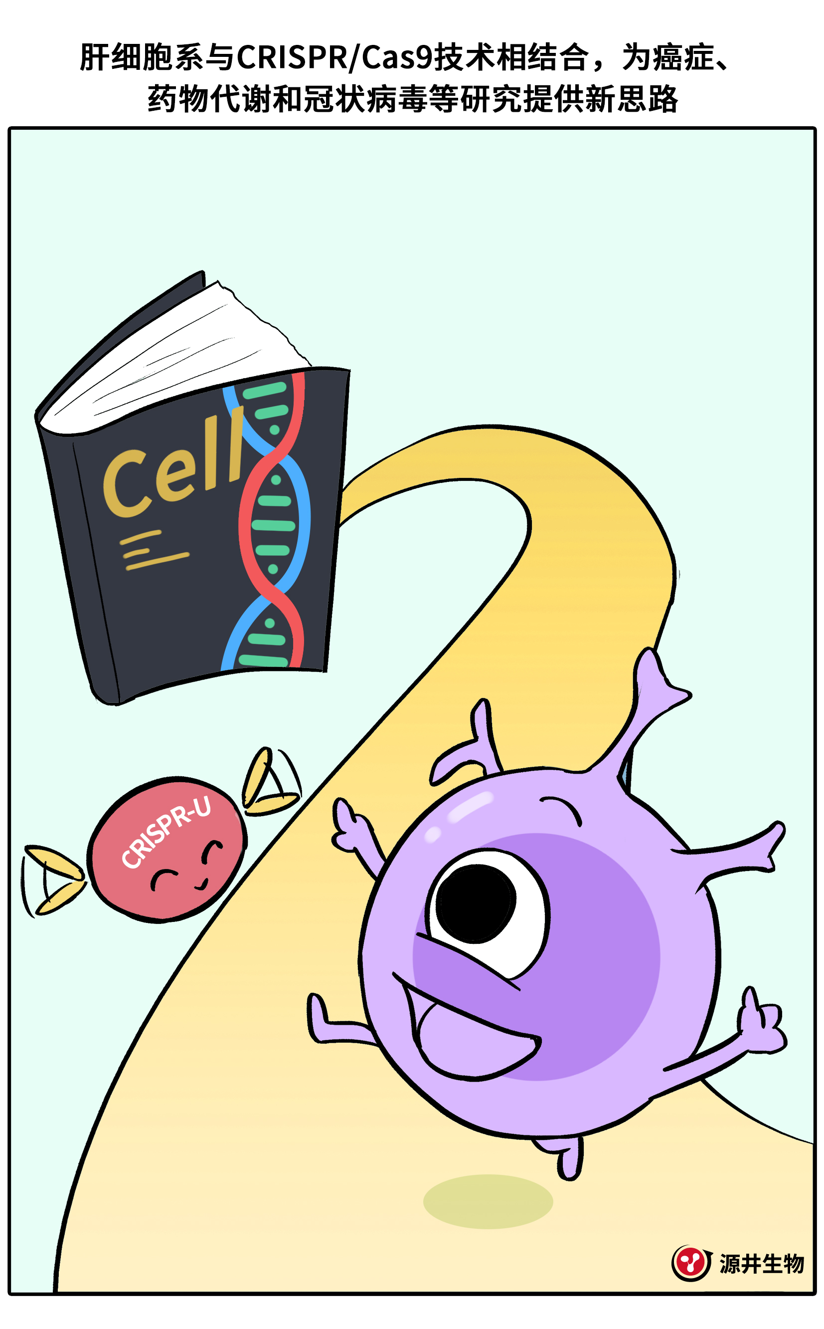 【漫画科普】Huh-7细胞的科研之旅-源井生物