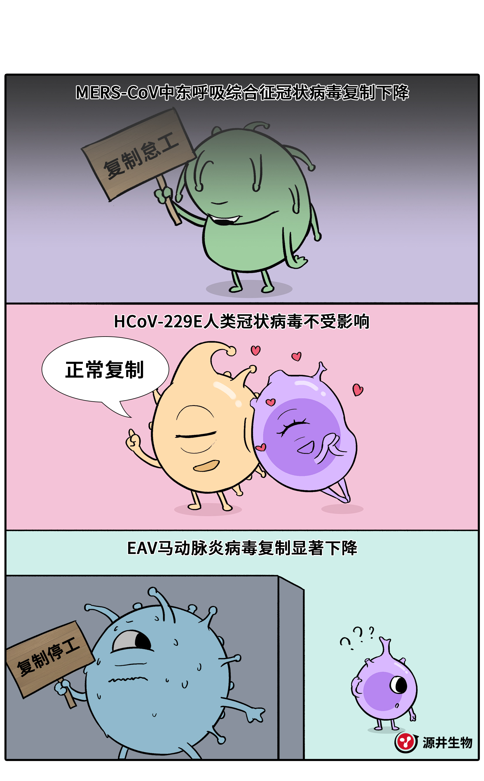 【漫画科普】Huh-7细胞的科研之旅-源井生物