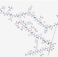 12584-58-6/ 胰岛素(猪胰腺) , ≥27 USP units/mg