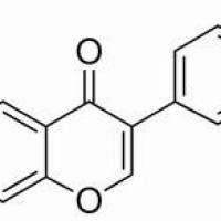 486-66-8/	 大豆苷元 ,	化学对照品(20mg)