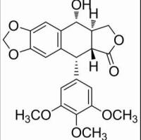 518-28-5/	 鬼臼毒素,	85%（HPLC）