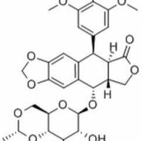 33419-42-0/	 依托泊苷 ,	≥98%
