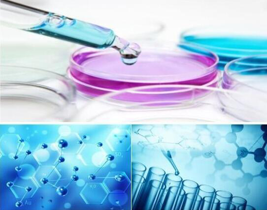 FAM110A mRNA原位杂交试剂盒100T/盒