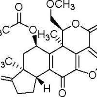 19545-26-7/ 渥曼青霉素,98%