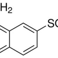 119-28-8/ 8-氨基-2-萘磺酸 , 90%(HPLC)