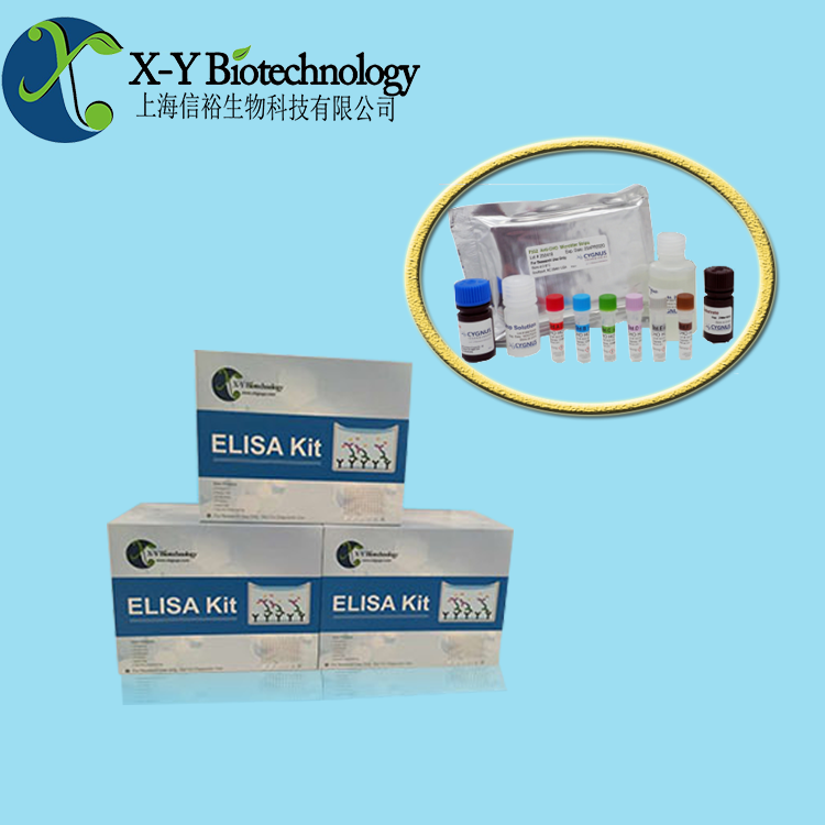 大鼠GADD45α试剂盒
