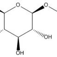 1464-44-4/ 苯基-β-D-吡喃葡萄糖苷,≥98%(HPLC)