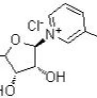 1341-23-7/	 烟酰胺核糖 ,purity：95%，assay：30%