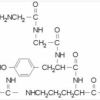 70195-20-9/	 Gly-Gly-Tyr-Arg,	分析标准品,HPLC≥96%
