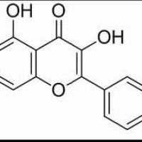 117-39-5/槲皮素 , 分析标准品,HPLC≥98%