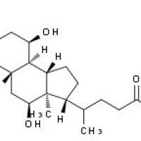 甘氨胆酸, 97%